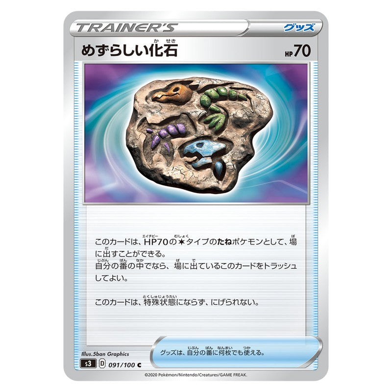 めずらしい化石