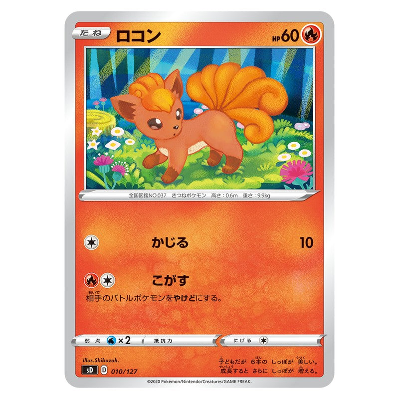 ロコン