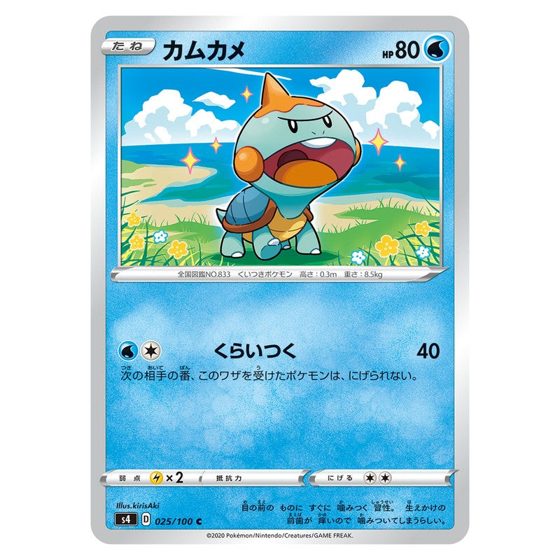 カムカメ