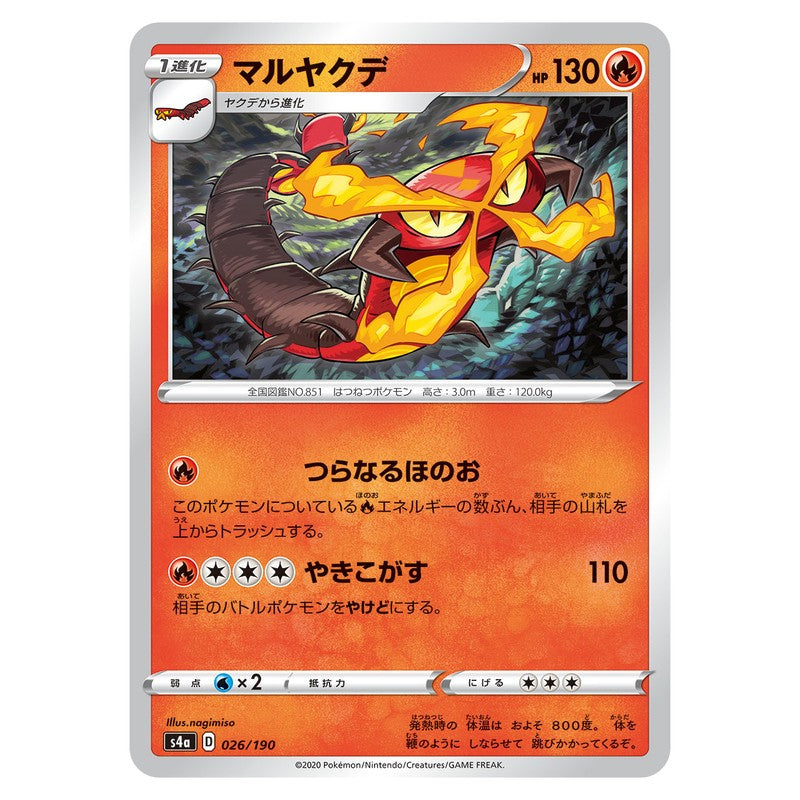 マルヤクデ