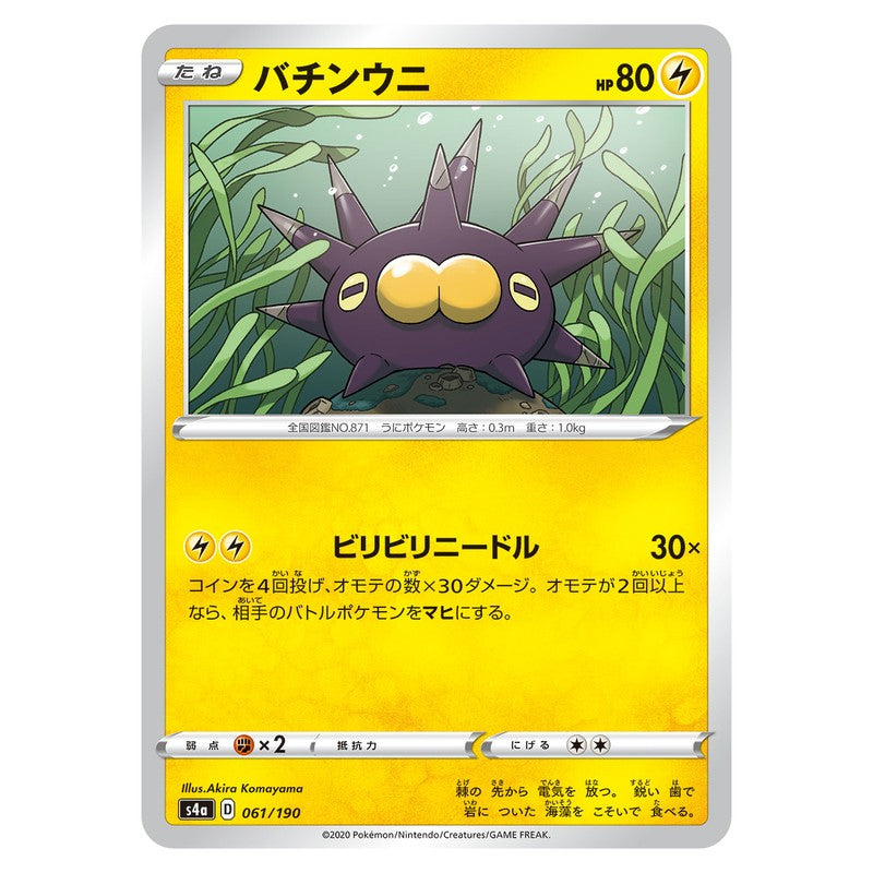 バチンウニ