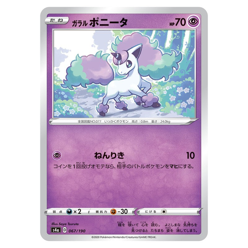 ガラル ポニータ