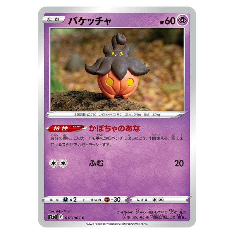 バケッチャ