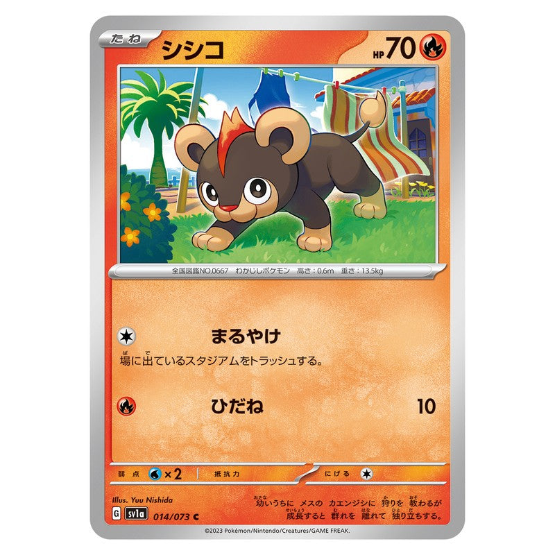 シシコ