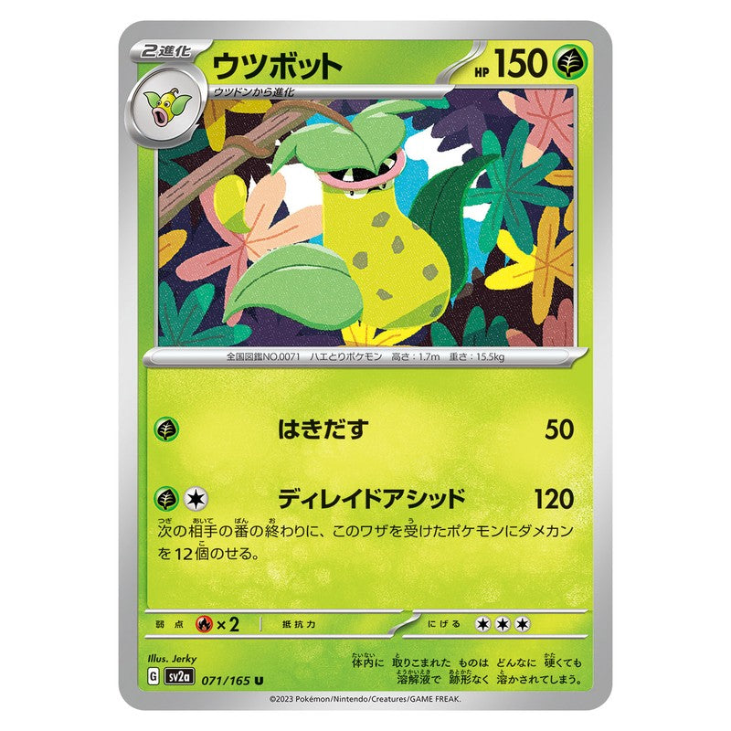 ウツボット