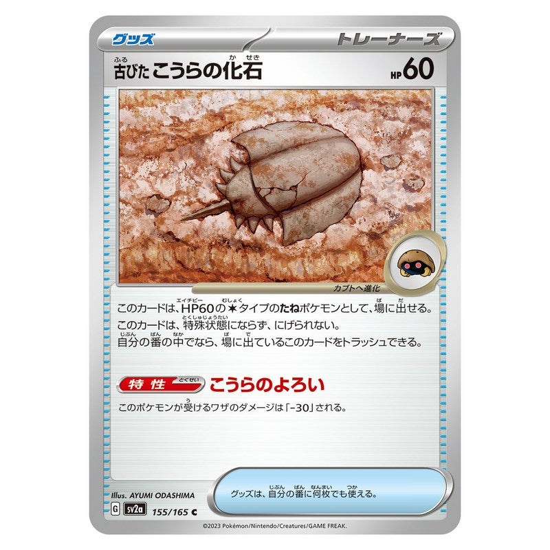 古びたこうらの化石