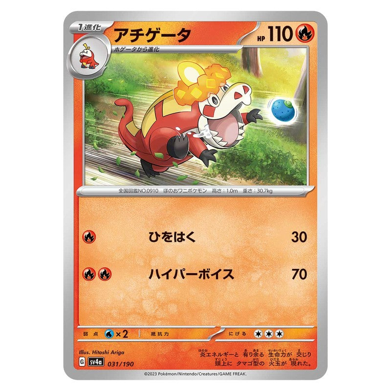アチゲータ
