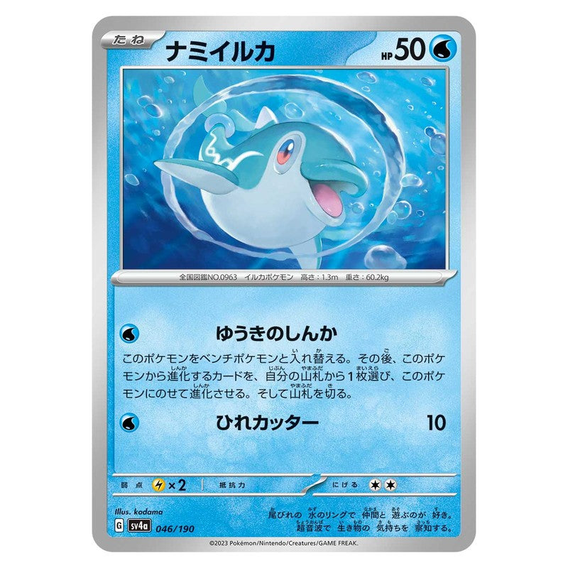 ナミイルカ