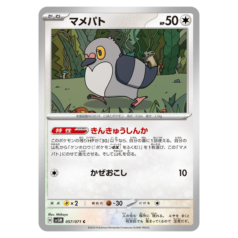 マメパト