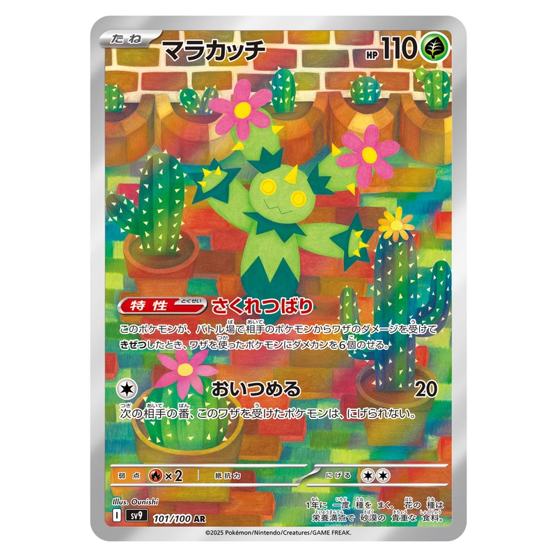 マラカッチ