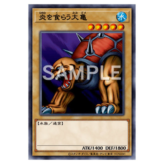 MR-22｜炎を食らう大亀｜db.yugioh-card.com