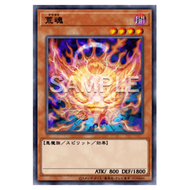 TT02-JPB06｜荒魂｜db.yugioh-card.com