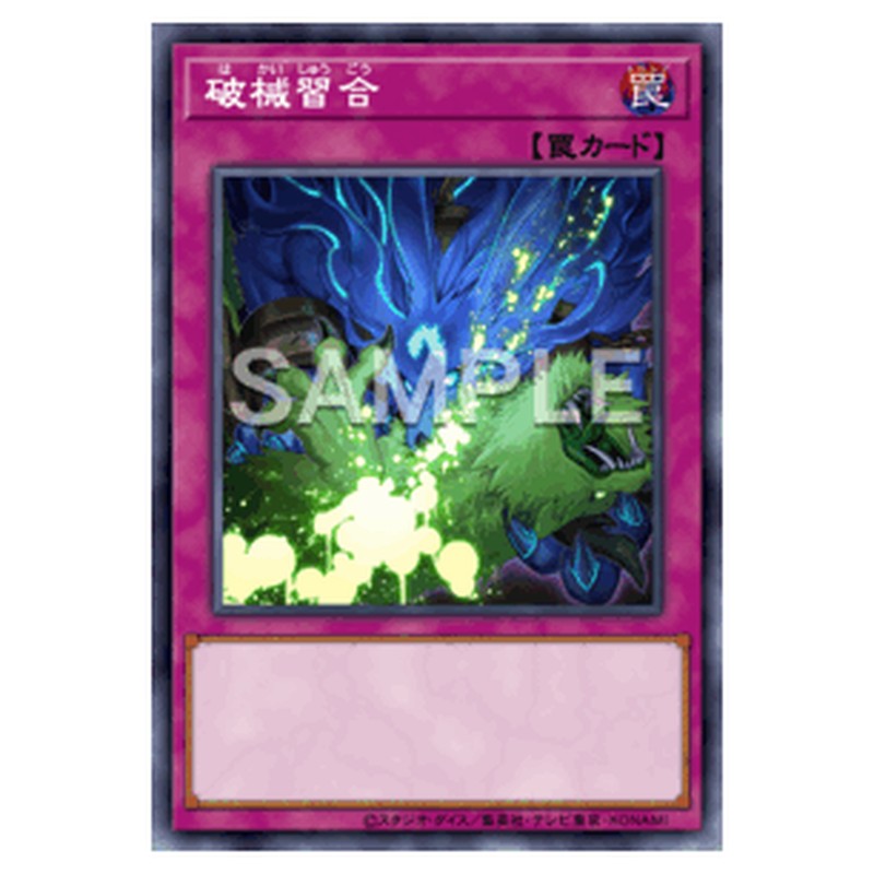 RV01-JP053｜破械習合｜db.yugioh-card.com