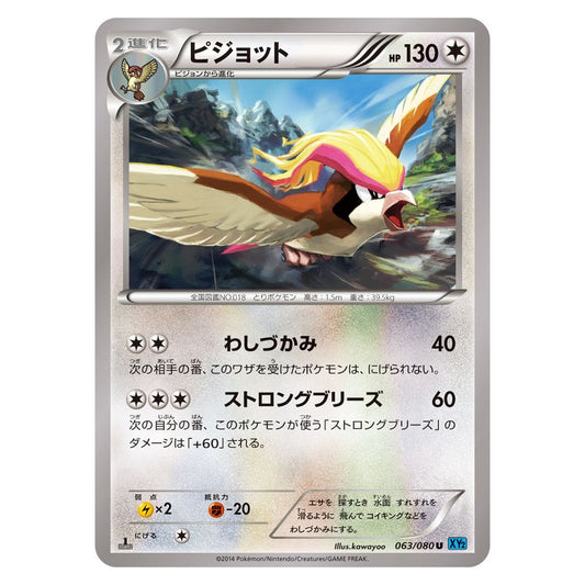ピジョット