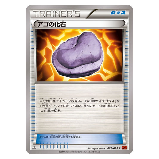 アゴの化石