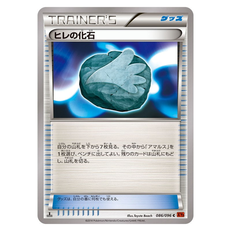 ヒレの化石