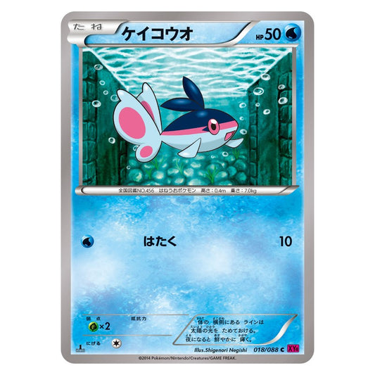 ケイコウオ
