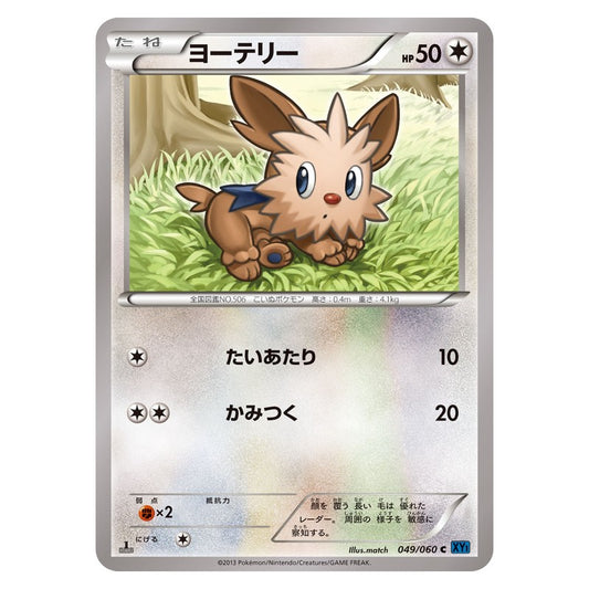 ヨーテリー
