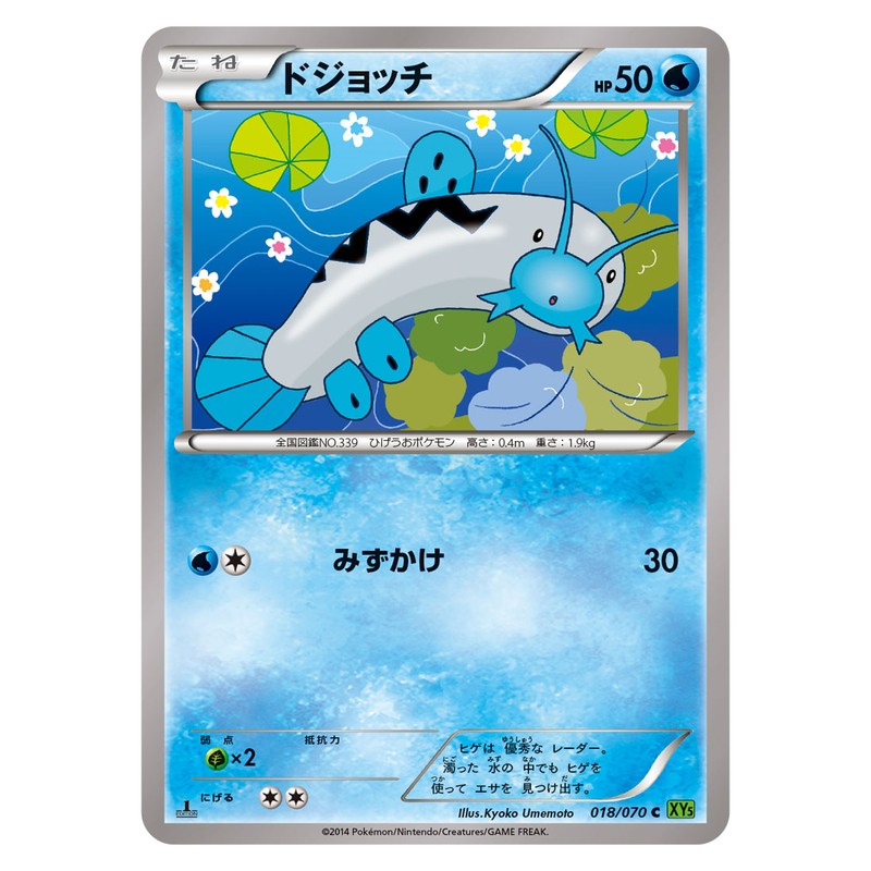 ドジョッチ