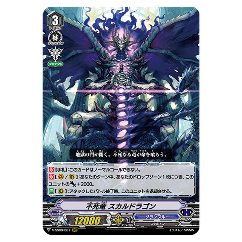 V-SS09/067