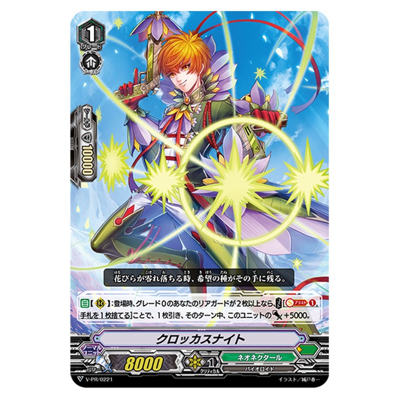 V-PR/0221