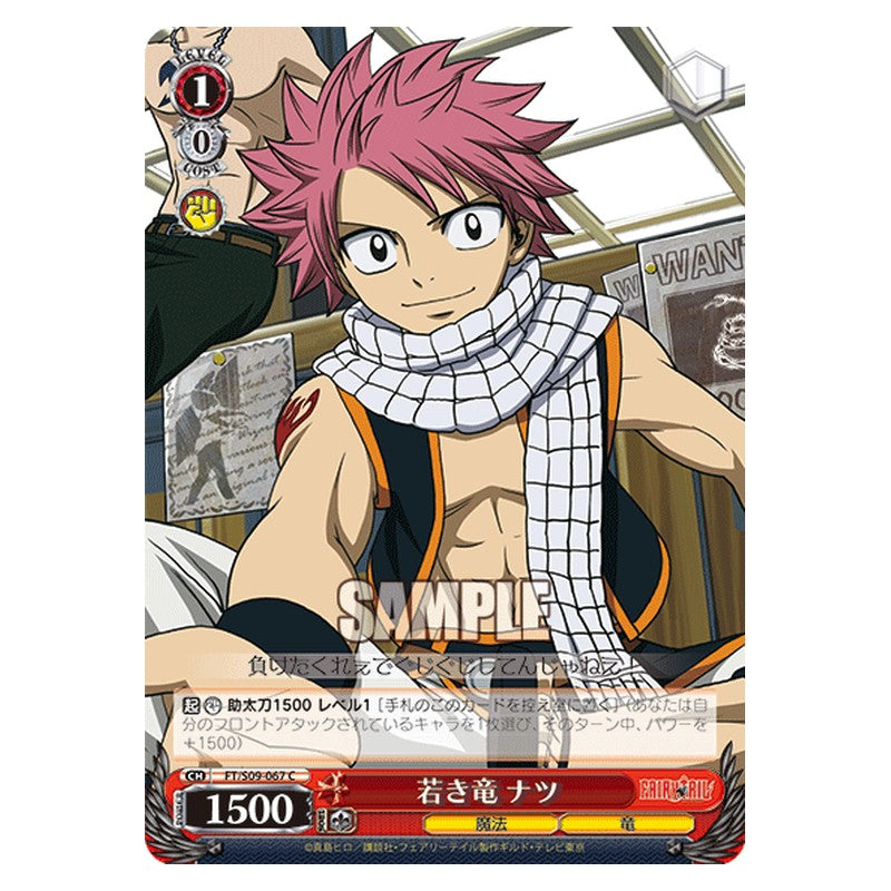FT/S09-067 [JP] 若き竜 ナツ Weiss Schwarz Japanese
