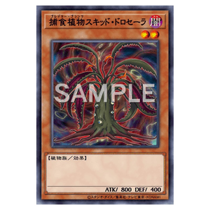 SPFE-JP008｜捕食植物スキッド・ドロセーラ｜ノーマル仕様｜db.yugioh-card.com