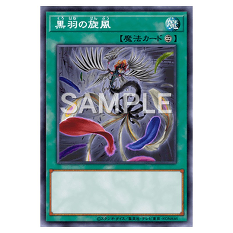 QCCP-JP143｜黒羽の旋風｜スーパーレア仕様｜db.yugioh-card.com
