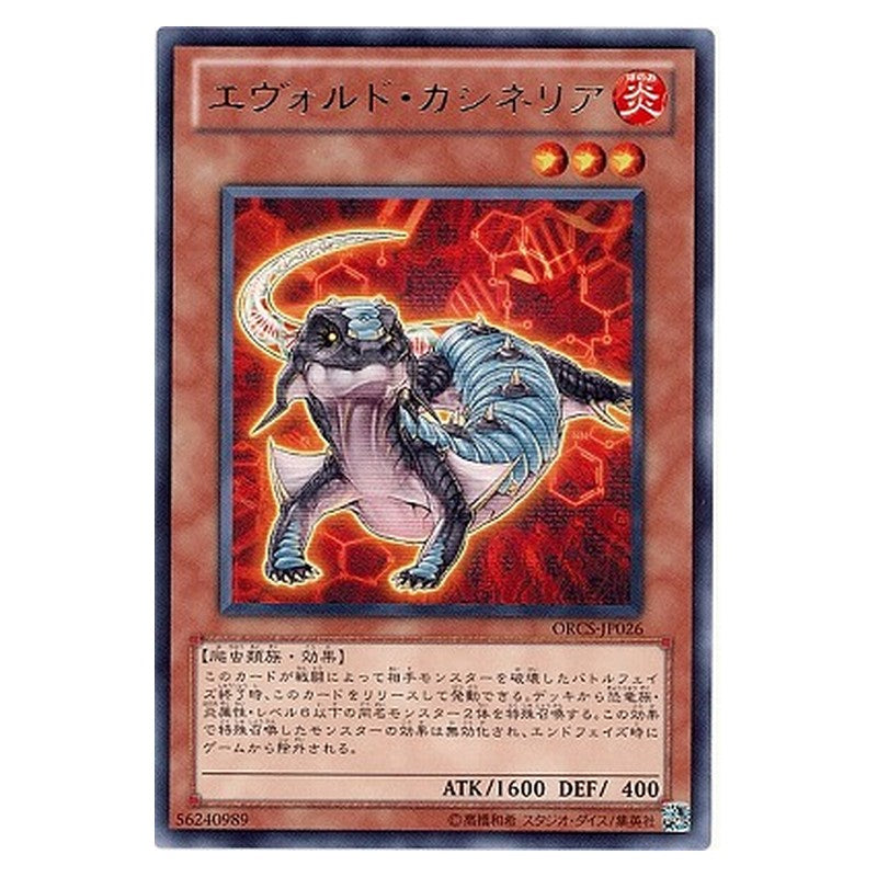 ORCS-JP026 [JP] エヴォルド・カシネリア - R Evoltile Casinerio Yu-Gi-Oh Card Japanese