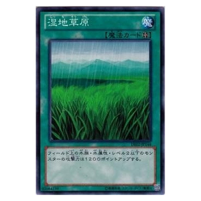DE02-JP144 [JP] 湿地草原 - N Wetlands Yu-Gi-Oh Card Japanese