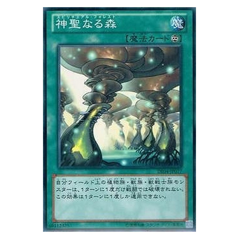 DE04-JP077 [JP] 神聖なる森 - N Spiritual Forest Yu-Gi-Oh Card Japanese