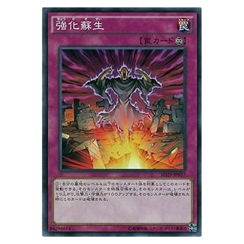 SD29-JP037 [JP] 強化蘇生 - N Powerful Rebirth Yu-Gi-Oh Card Japanese