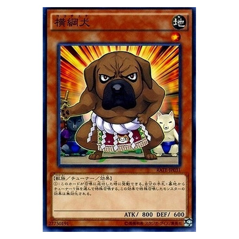 RATE-JP031 [JP] 横綱犬 - N Yokotuner Yu-Gi-Oh Card Japanese