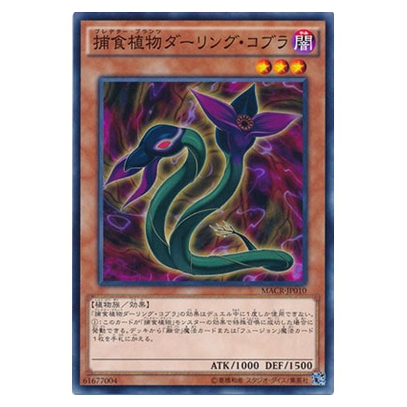 MACR-JP010 [JP] 捕食植物ダーリング・コブラ - N Predaplant Darlingtonia Cobra Yu-Gi-Oh Card Japanese