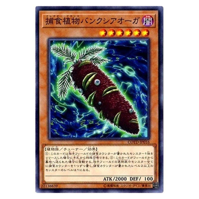 COTD-JP016 [JP] 捕食植物バンクシアオーガ - N Predaplant Banksiogre Yu-Gi-Oh Card Japanese