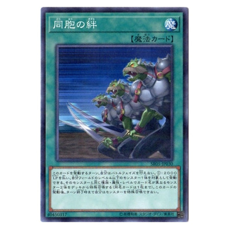SR05-JP030 [JP] 同胞の絆 - NP Ties of the Brethren Yu-Gi-Oh Card Japanese