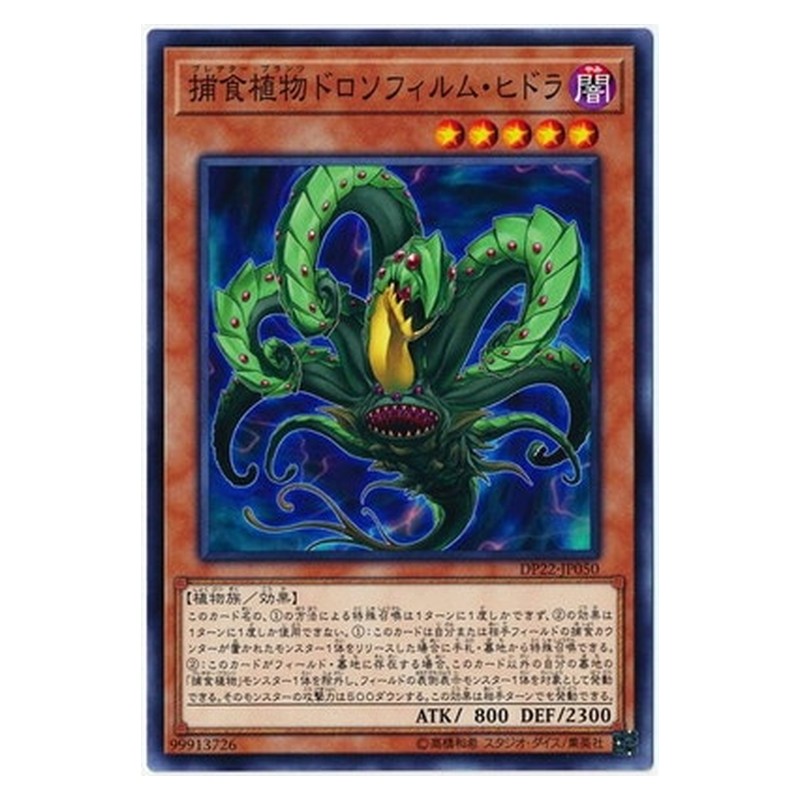 DP22-JP050 [JP] 捕食植物ドロソフィルム・ヒドラ - N Predaplant Drosophyllum Hydra Yu-Gi-Oh Card Japanese