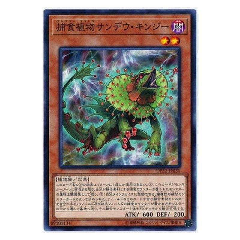 DP22-JP051 [JP] 捕食植物サンデウ・キンジー - N Predaplant Chlamydosundew Yu-Gi-Oh Card Japanese