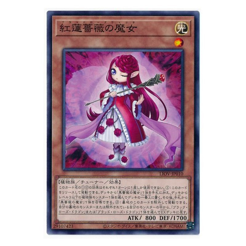 LIOV-JP010 [JP] 紅蓮薔薇の魔女 - N Ruddy Rose Witch Yu-Gi-Oh Card Japanese