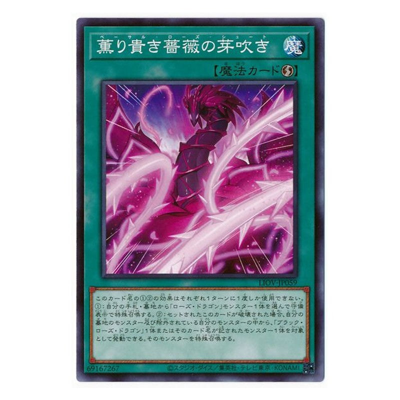 LIOV-JP059 [JP] 薫り貴き薔薇の芽吹き - N Basal Rose Shoot Yu-Gi-Oh Card Japanese